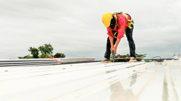 Best Roof Maintenance and Cleaning  in Lake Linden, MI