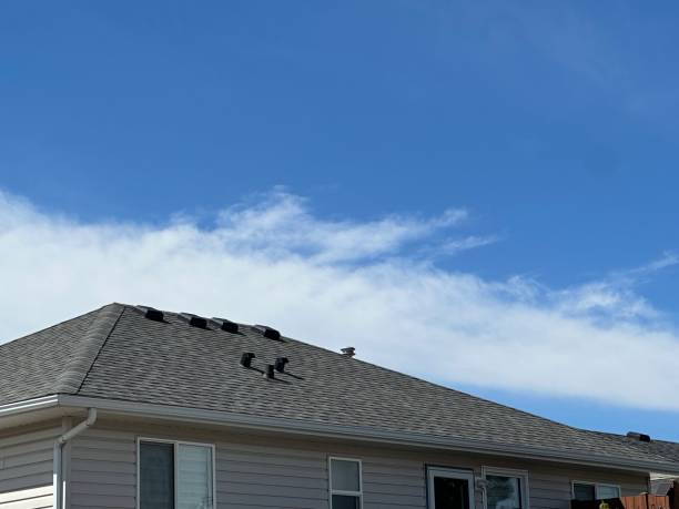Best Solar Panel Roofing Installation  in Lake Linden, MI